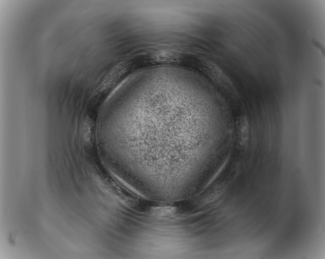 X0000103160266200809051706