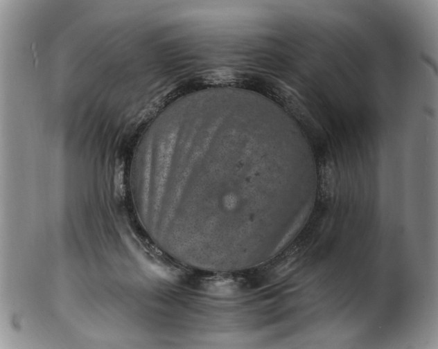 X0000103160267200809051706