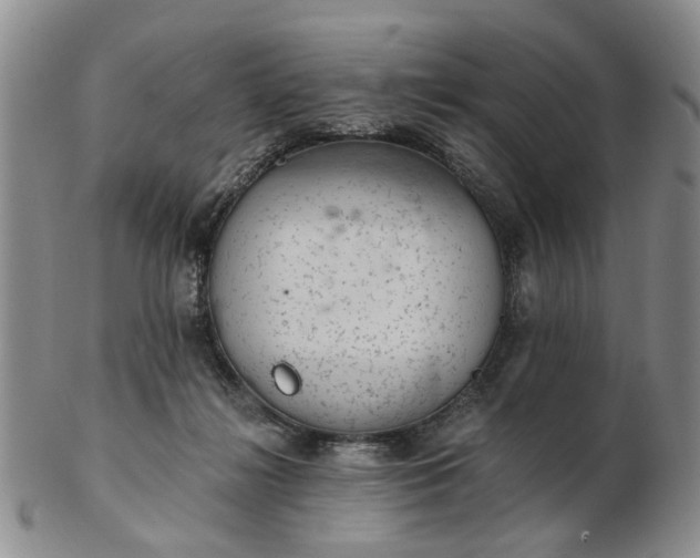 X0000103160268200809051706