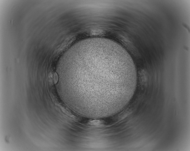 X0000103160269200809051706