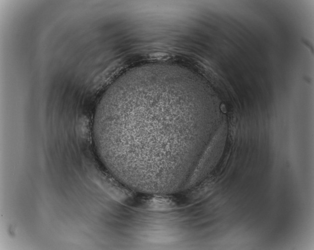 X0000103160270200809051706