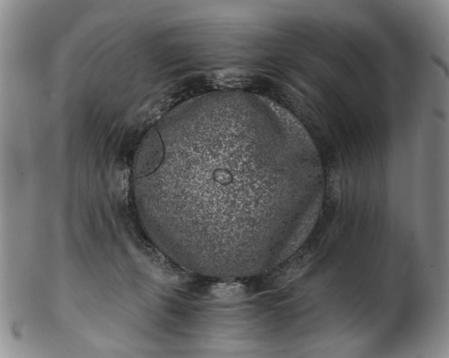 X0000103160271200809051706