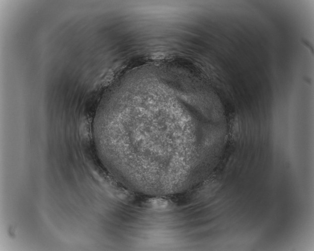 X0000103160272200809051706