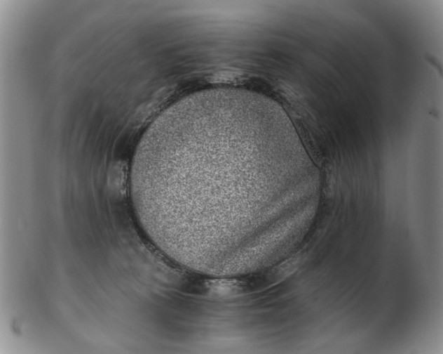 X0000103160273200809051706