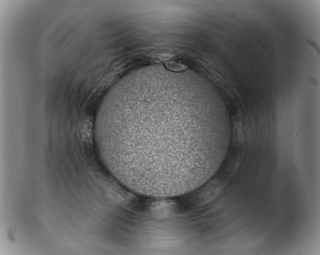 X0000103160274200809051706