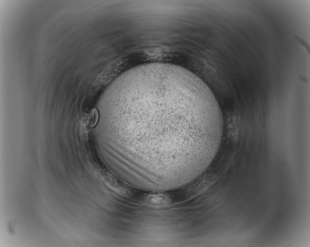 X0000103160275200809051706