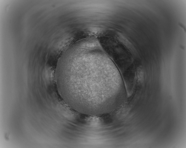 X0000103160276200809051706