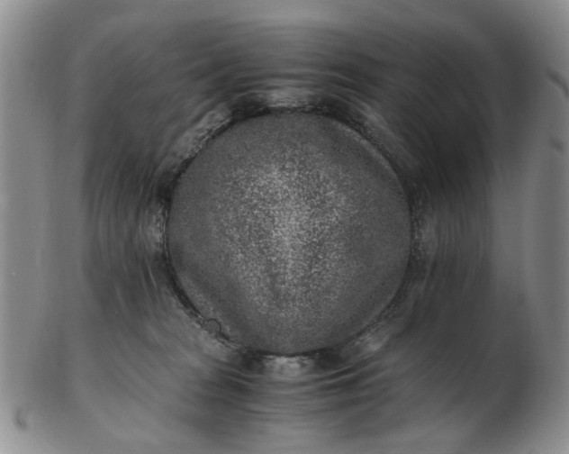 X0000103160277200809051706