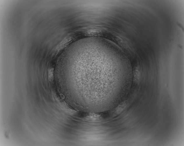 X0000103160278200809051706