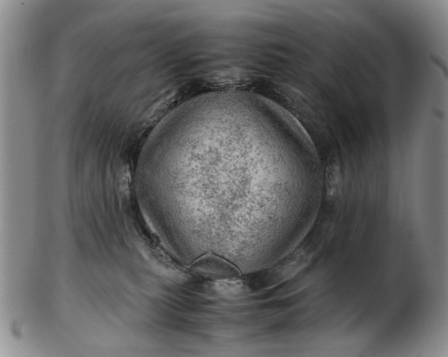 X0000103160279200809051706