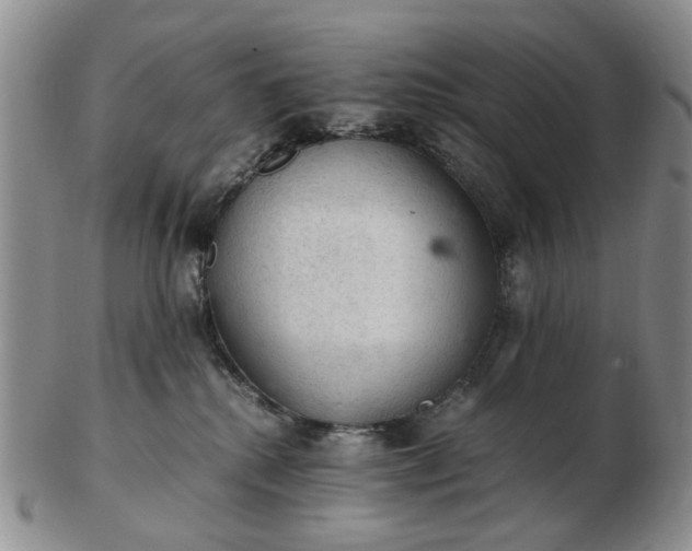 X0000103160280200809051706