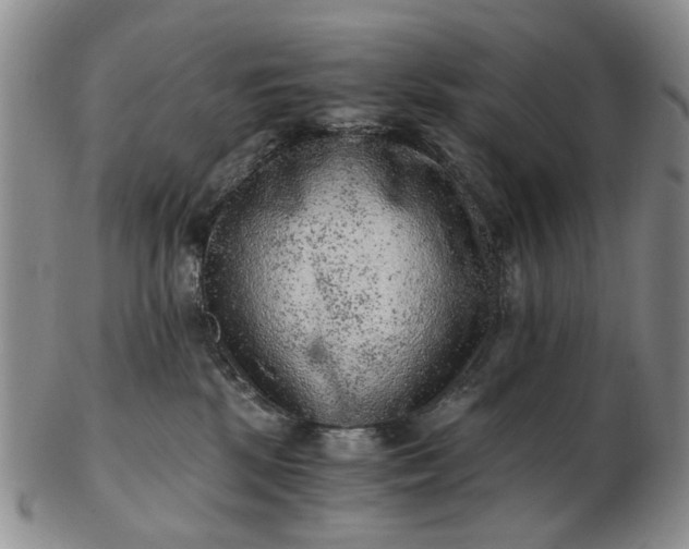 X0000103160281200809051706