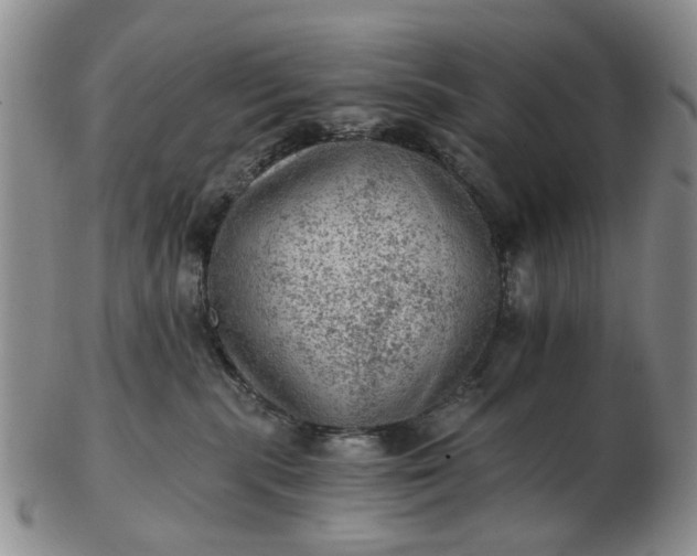 X0000103160283200809051706