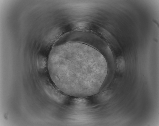 X0000103160284200809051706