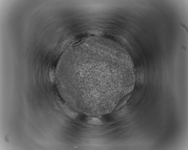 X0000103160285200809051706