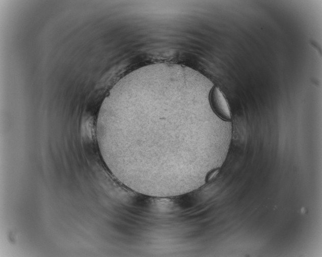 X0000103160287200809051706