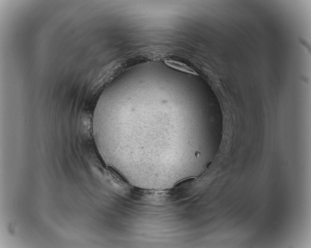 X0000103160288200809051706