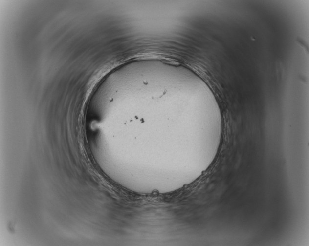 X0000103160289200809051706