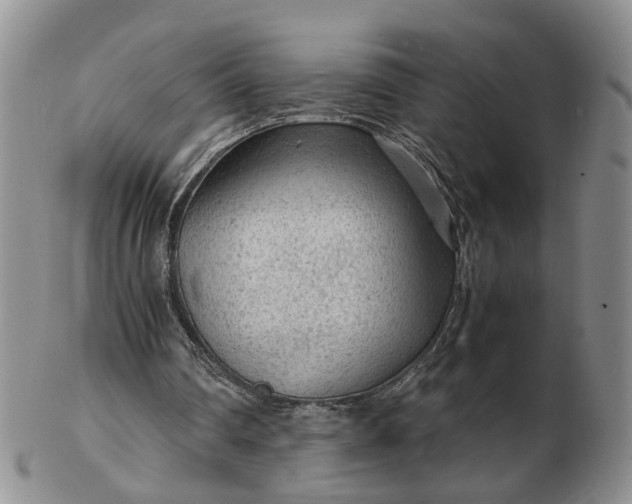 X0000103160290200809051706