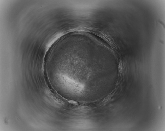 X0000103160292200809051706