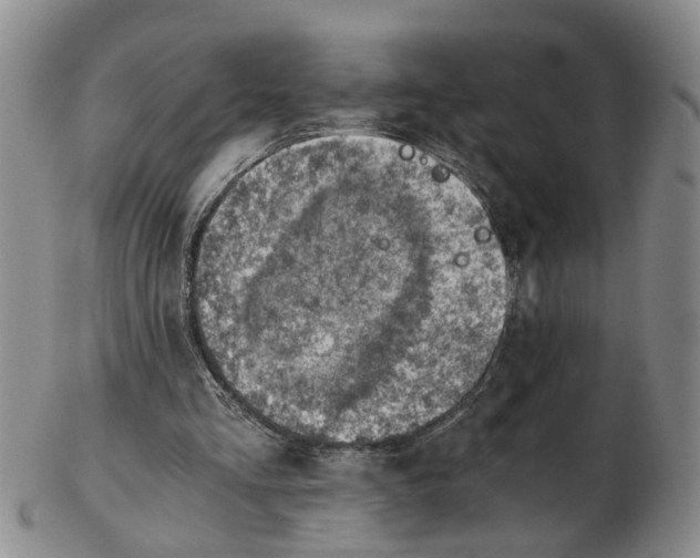 X0000103160293200809051706