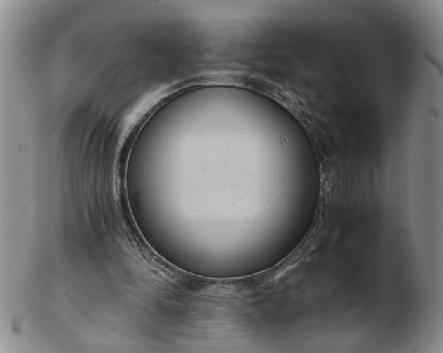 X0000103160294200809051706