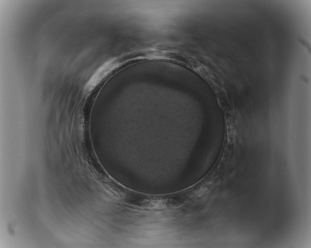 X0000103160295200809051706