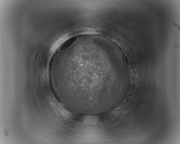 X0000103160296200809051706