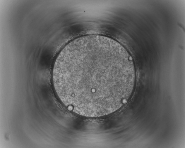 X0000103160297200809051706