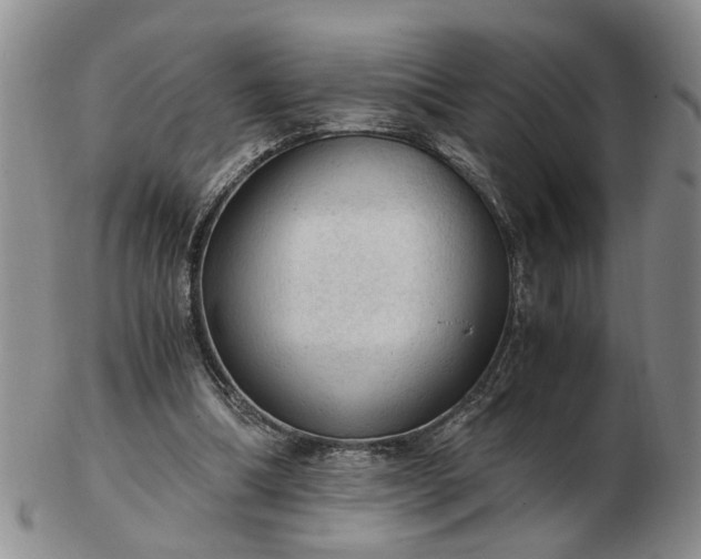 X0000103160298200809051705