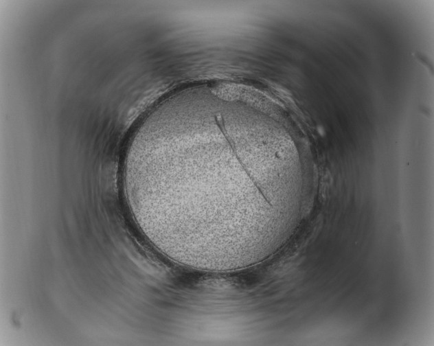 X0000103160299200809051705