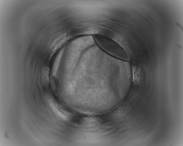 X0000103160300200809051705