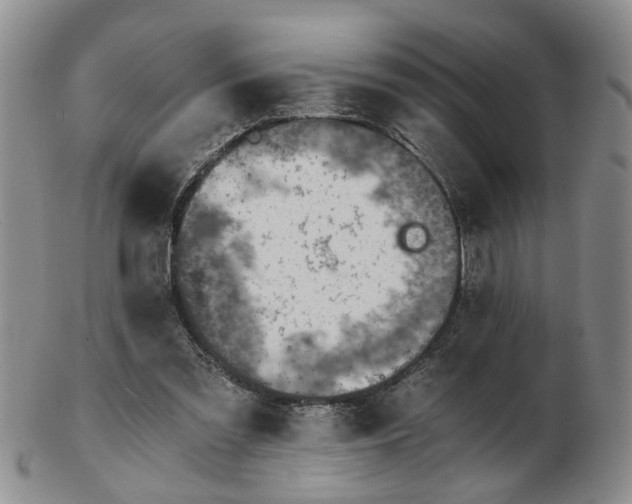 X0000103160301200809051705