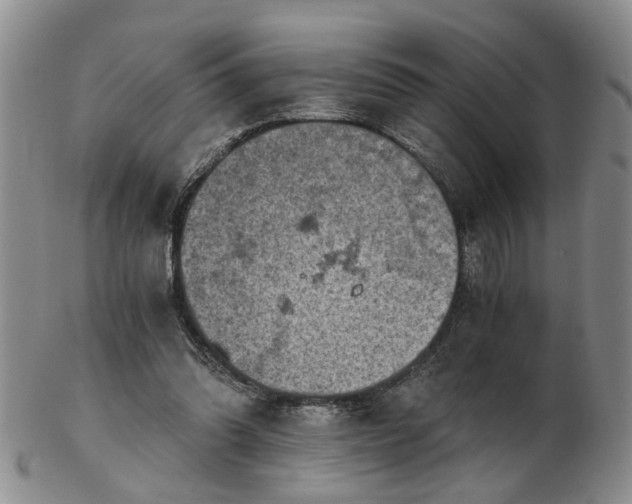 X0000103160302200809051705