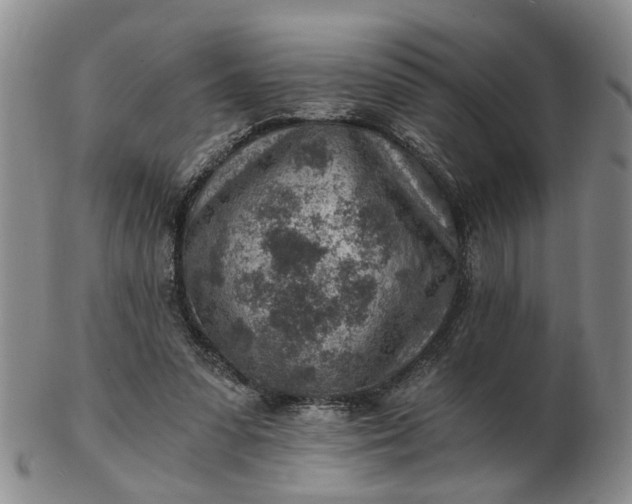 X0000103160303200809051705