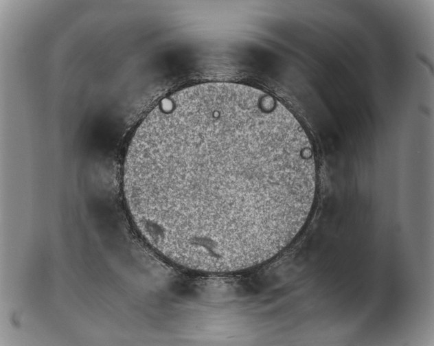 X0000103160305200809051705