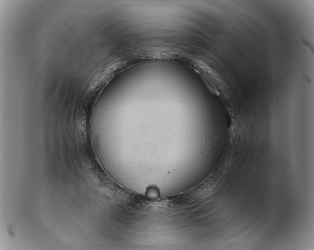 X0000103160306200809051705