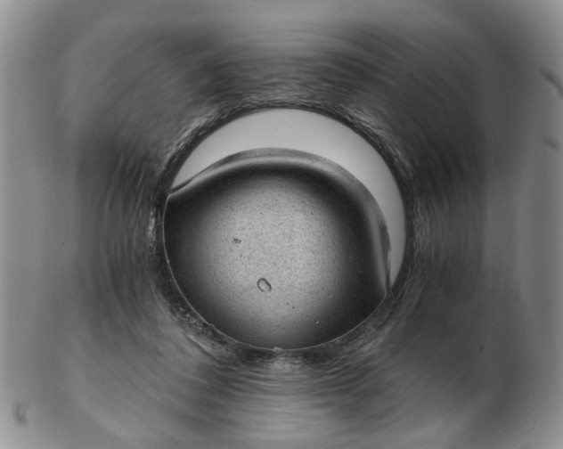 X0000103160308200809051705