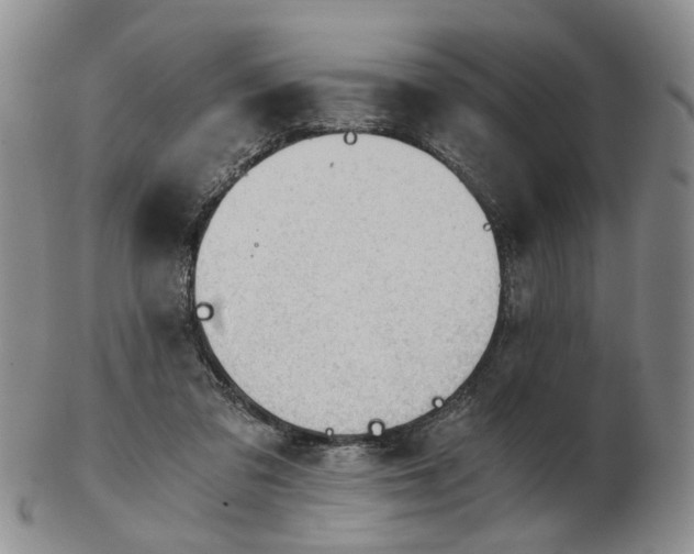 X0000103160309200809051705