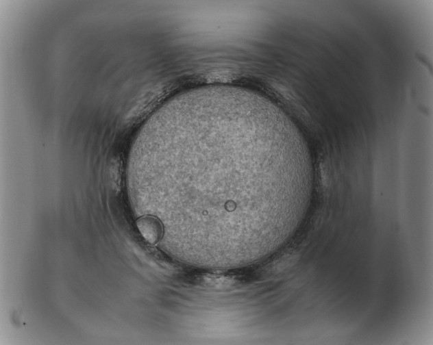 X0000103160311200809051705