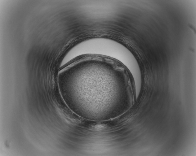 X0000103160312200809051705