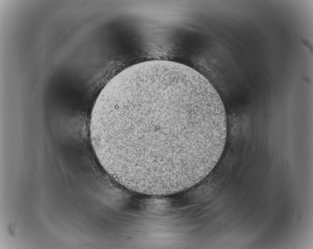 X0000103160313200809051705