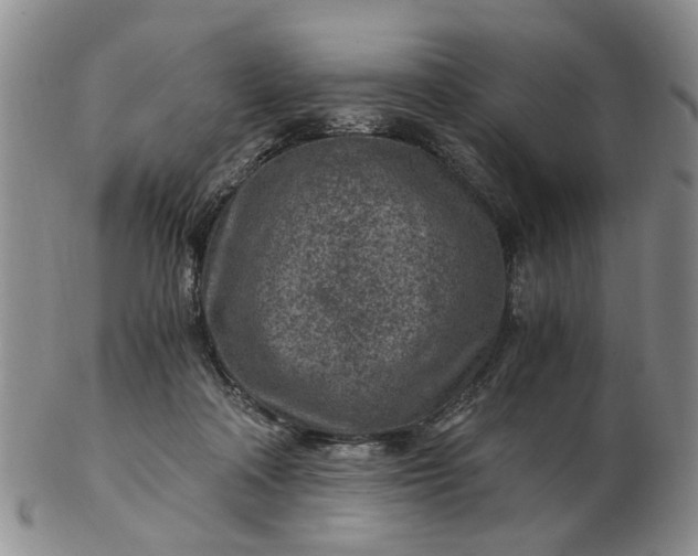 X0000103160314200809051705