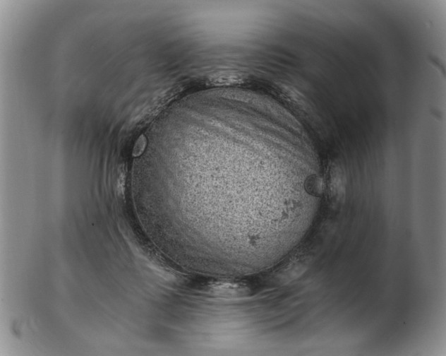 X0000103160315200809051705