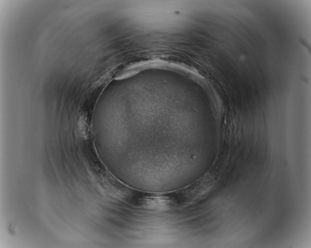 X0000103160316200809051705