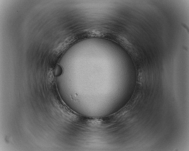 X0000103160318200809051705