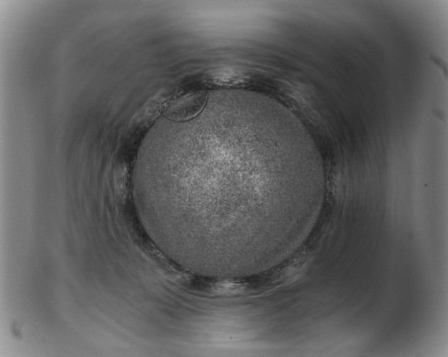 X0000103160319200809051705