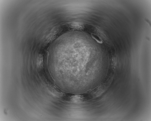 X0000103160320200809051705