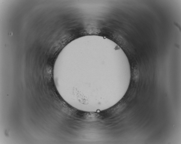 X0000103160321200809051705