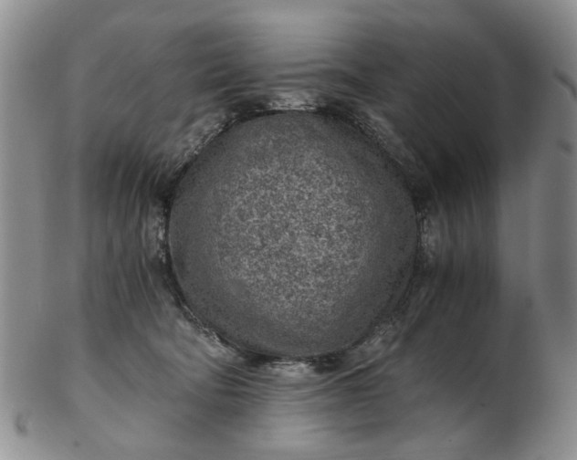 X0000103160322200809051705